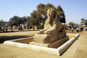 A sphinx at Memphis
