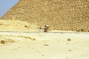 Horse and carriage at the Great Pyramids 
