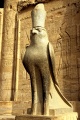 Edfu, statue of Horus 