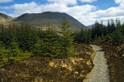 The West Highland Way north of Bridge of Orchy 