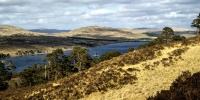 At Loch Tulla 