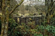 Ruins north of Victoria Bridge 