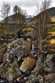 Ba Bridge, Rannoch Moor 